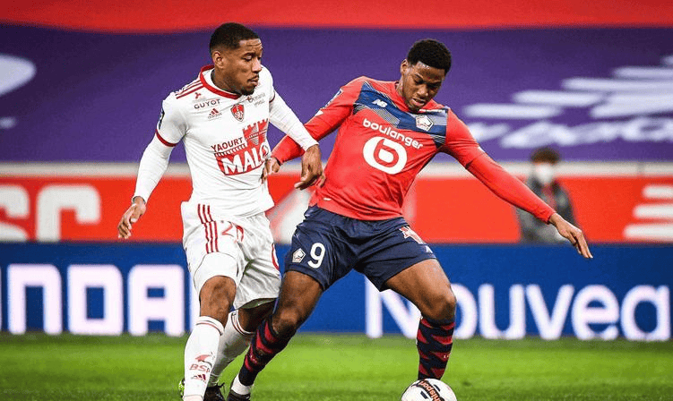 推广健康的 推广健康的