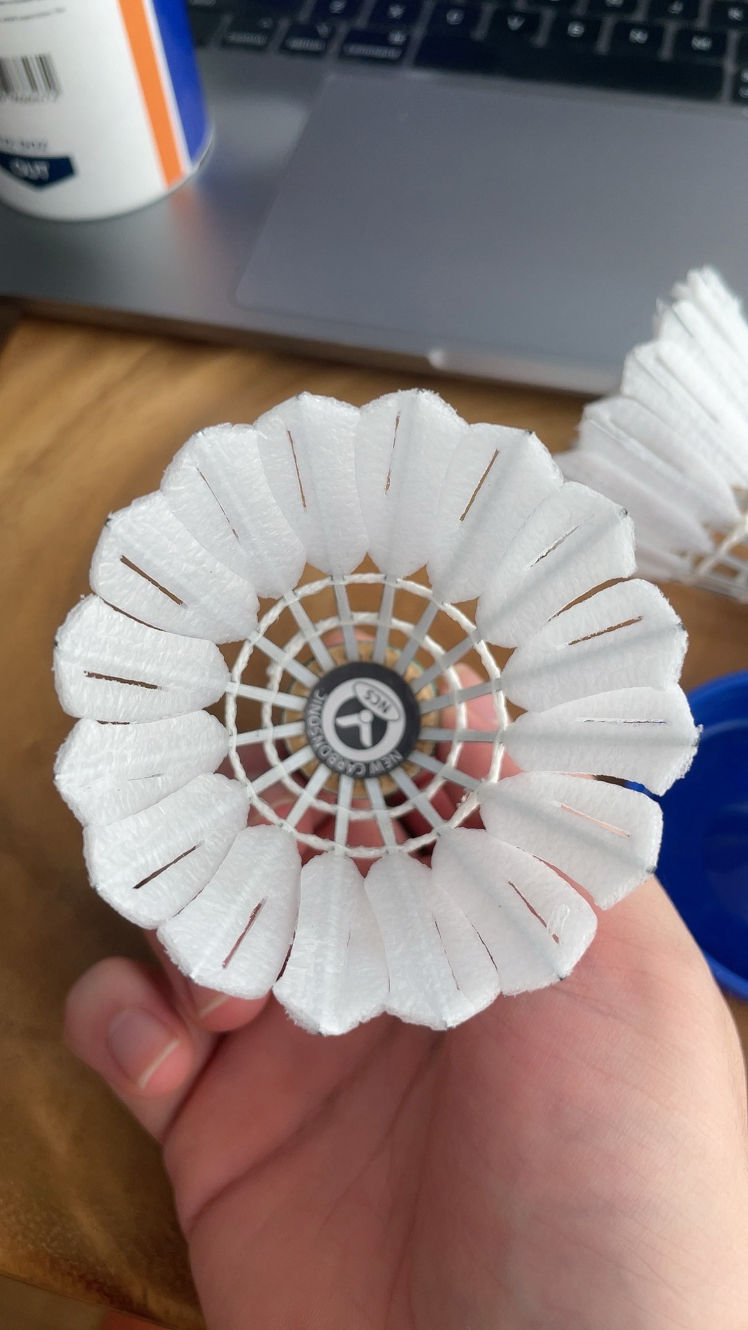 赛季中必须 赛季中必须