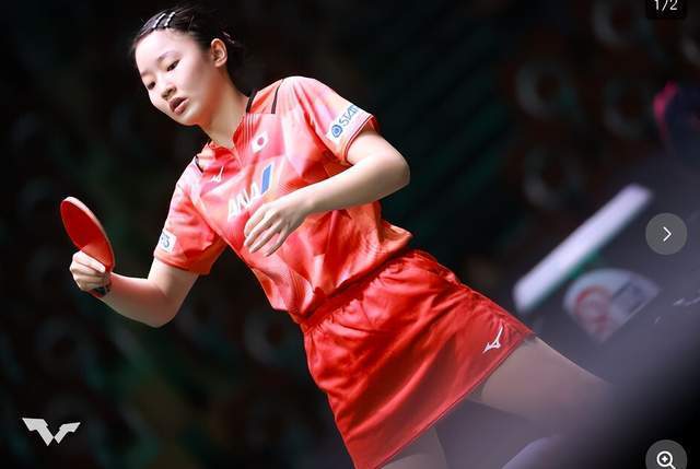 素仍可能让 素仍可能让